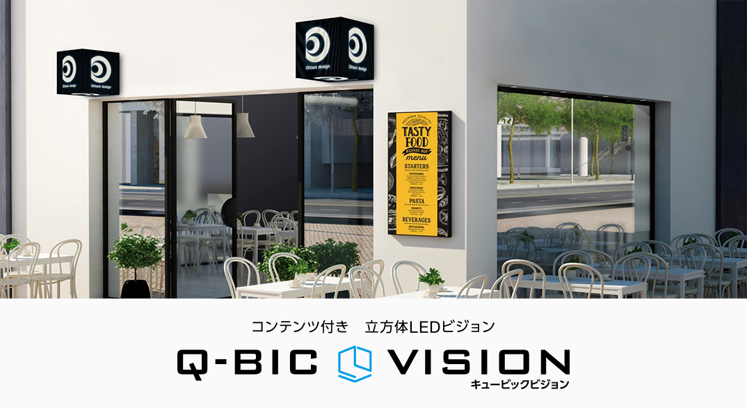 Q-BIC VISION